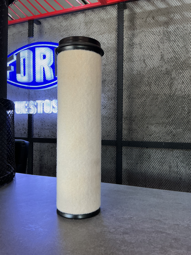 FILTRO DE AIRE SECUNDARIO (INT) CARGO 815 ORIG FORD