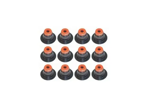 GOMAS DE VALVULA CARGO 1721 BLK (12 UNID)