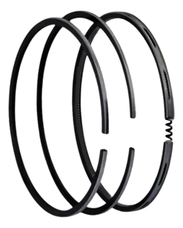 ANILLOS DE COMPRESOR DE FRENO 010 CARGO 1721